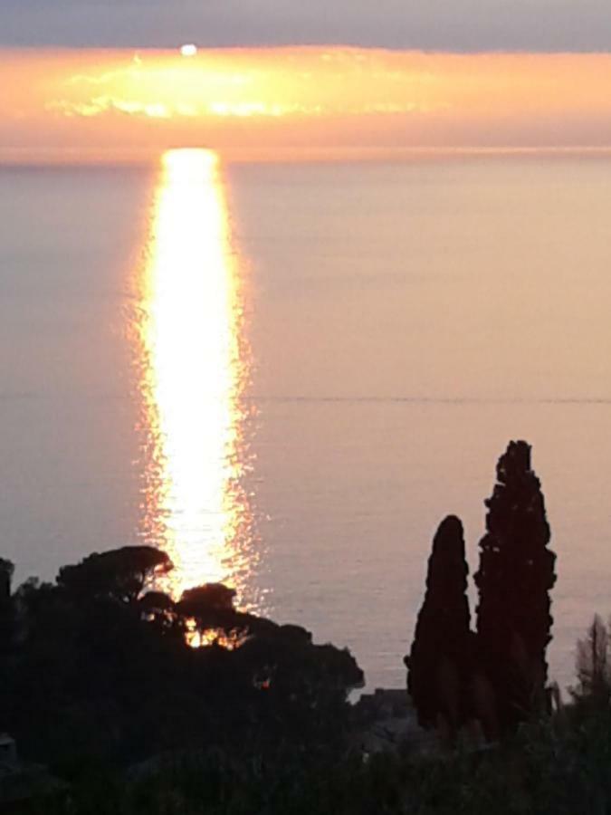 Ferienwohnung La Depandance Della Nonna Camogli Exterior foto