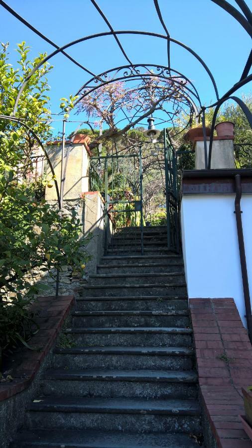 Ferienwohnung La Depandance Della Nonna Camogli Exterior foto